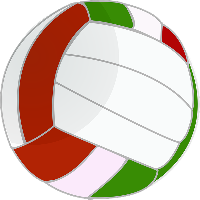volleyball-25782_640